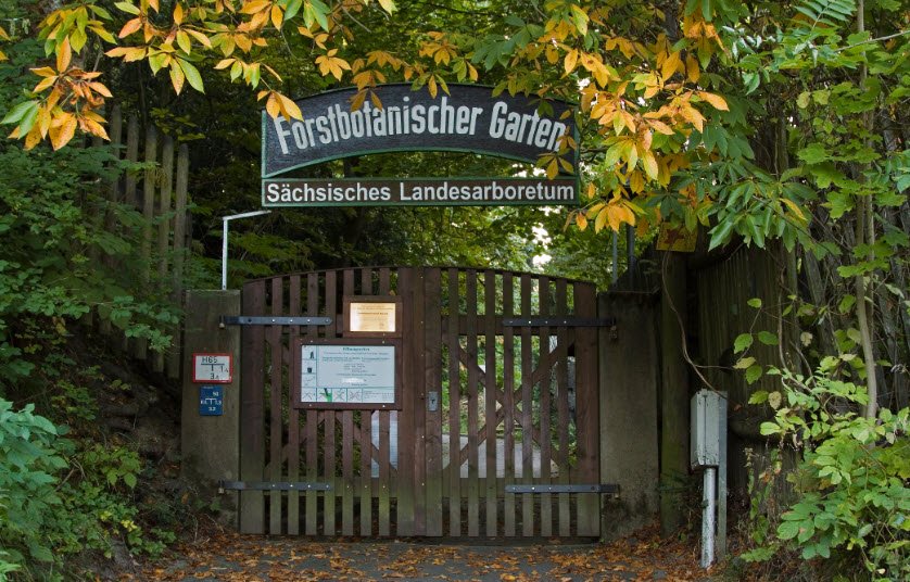 Forstbotanischer Garten Tharandt, Germany